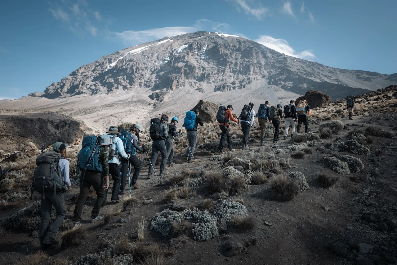 Altezza Trekkers tijdens een gedeelde Kilimanjaro-reis