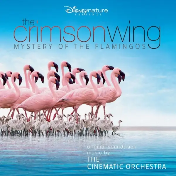 Cover van de documentaire "The Crimson Wing: Mystery of the Flamingos"