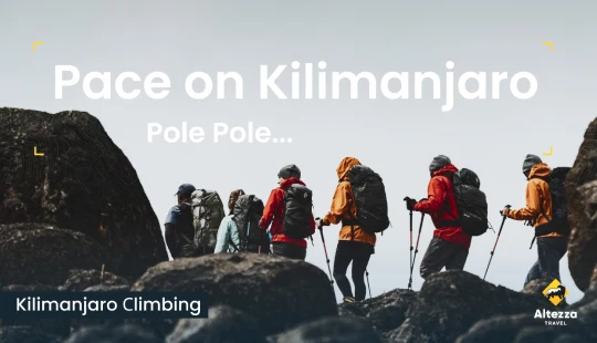 Het juiste tempo vinden op de Kilimanjaro | Altezza Travel