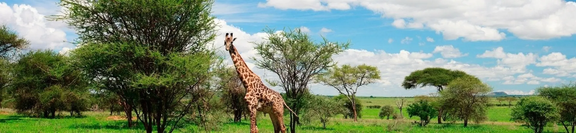 Arusha Nationaal Park
