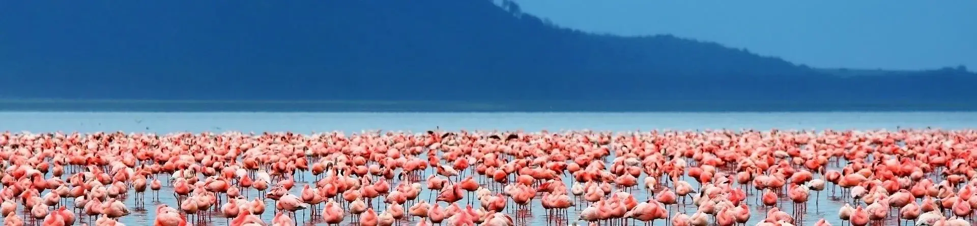 Manyara meer