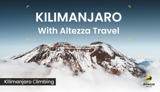 De Kilimanjaro beklimmen: essentiële informatie | Altezza Travel
