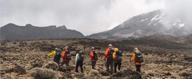 Northern Circuit-route - Dag 4 - Trekking van Shira 2 naar Moir Hut via Lava Tower