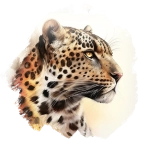 Luipaard