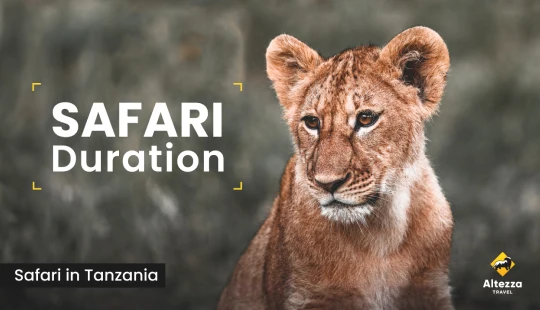 Safari plannen: hoeveel dagen heeft u nodig?