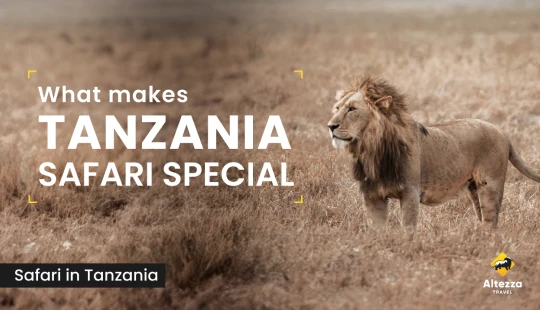 Wat een safari in Tanzania zo bijzonder maakt