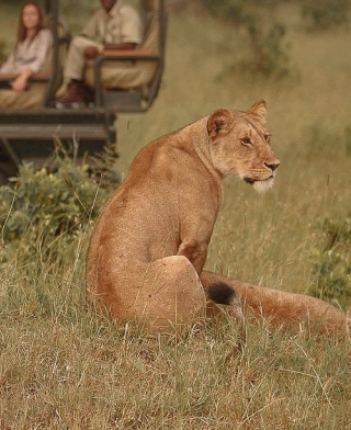 Serengeti Nationaal Park