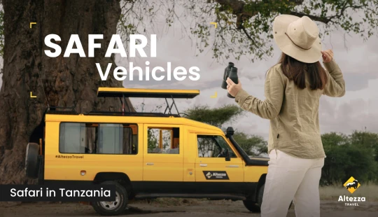 Essentiële kenmerken van een perfect safarivoertuig
